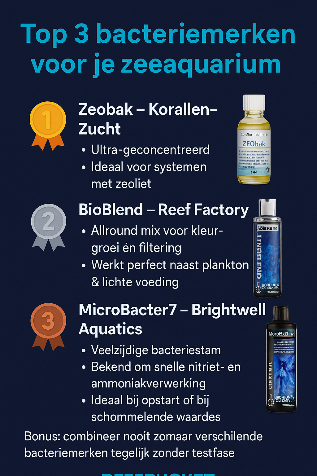 Beste bacteriën voor je zeewateraquarium – Reefbucket gids