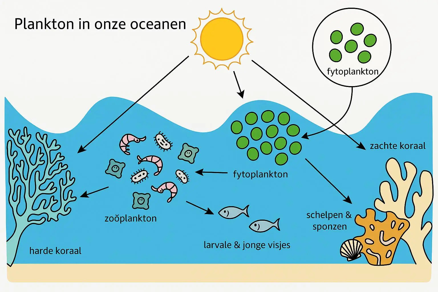 Plankton voor je Rifaquarium: Nanochloropsis, Synechococcus & Copepoden ReefBucket