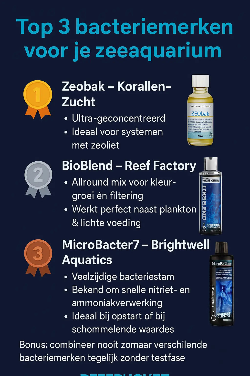 Beste bacteriën voor je zeewateraquarium – Reefbucket gids ReefBucket