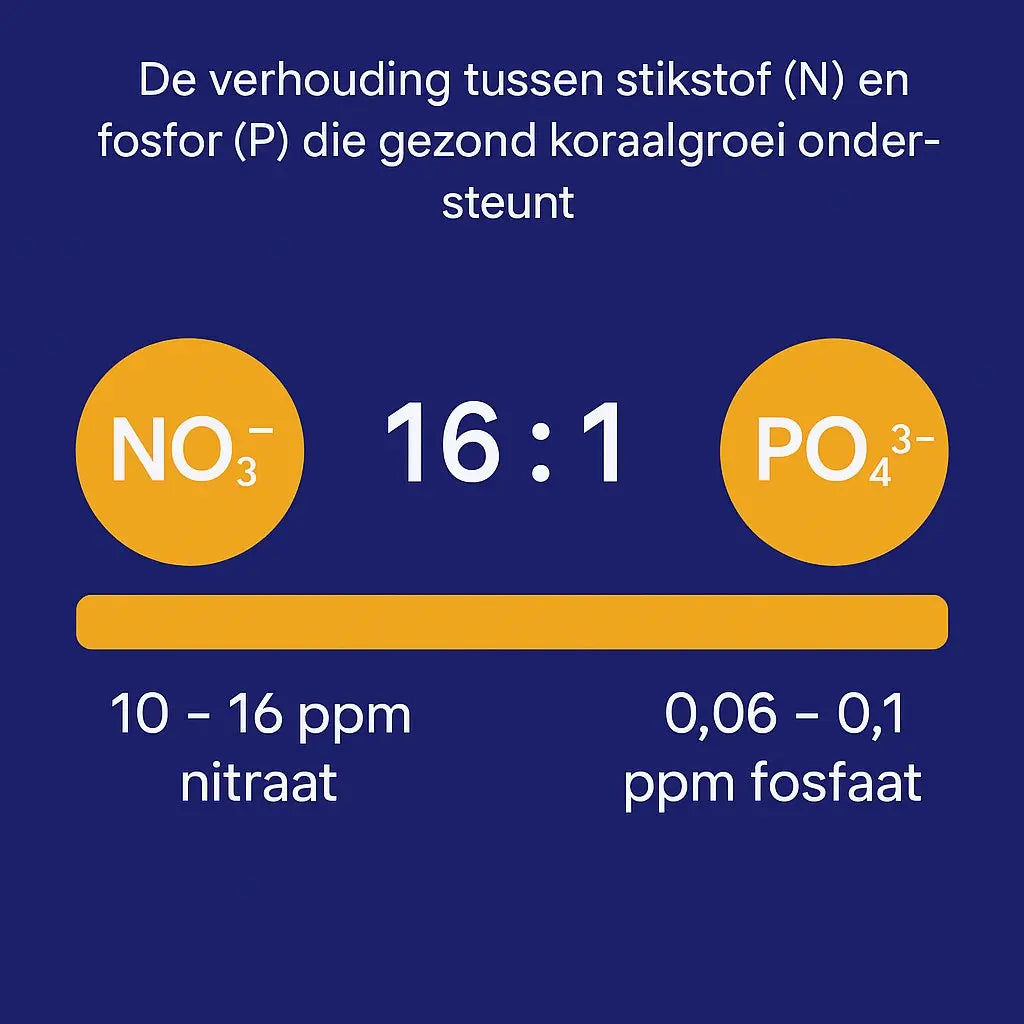 Redfield-ratio in het zeeaquarium: Wat is het en waarom is het belangrijk? ReefBucket