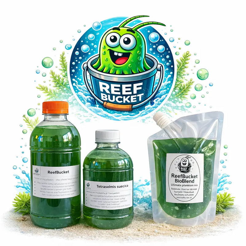 Fytoplankton-kopen-Vers-levend-plankton-voor-zeewateraquarium ReefBucket