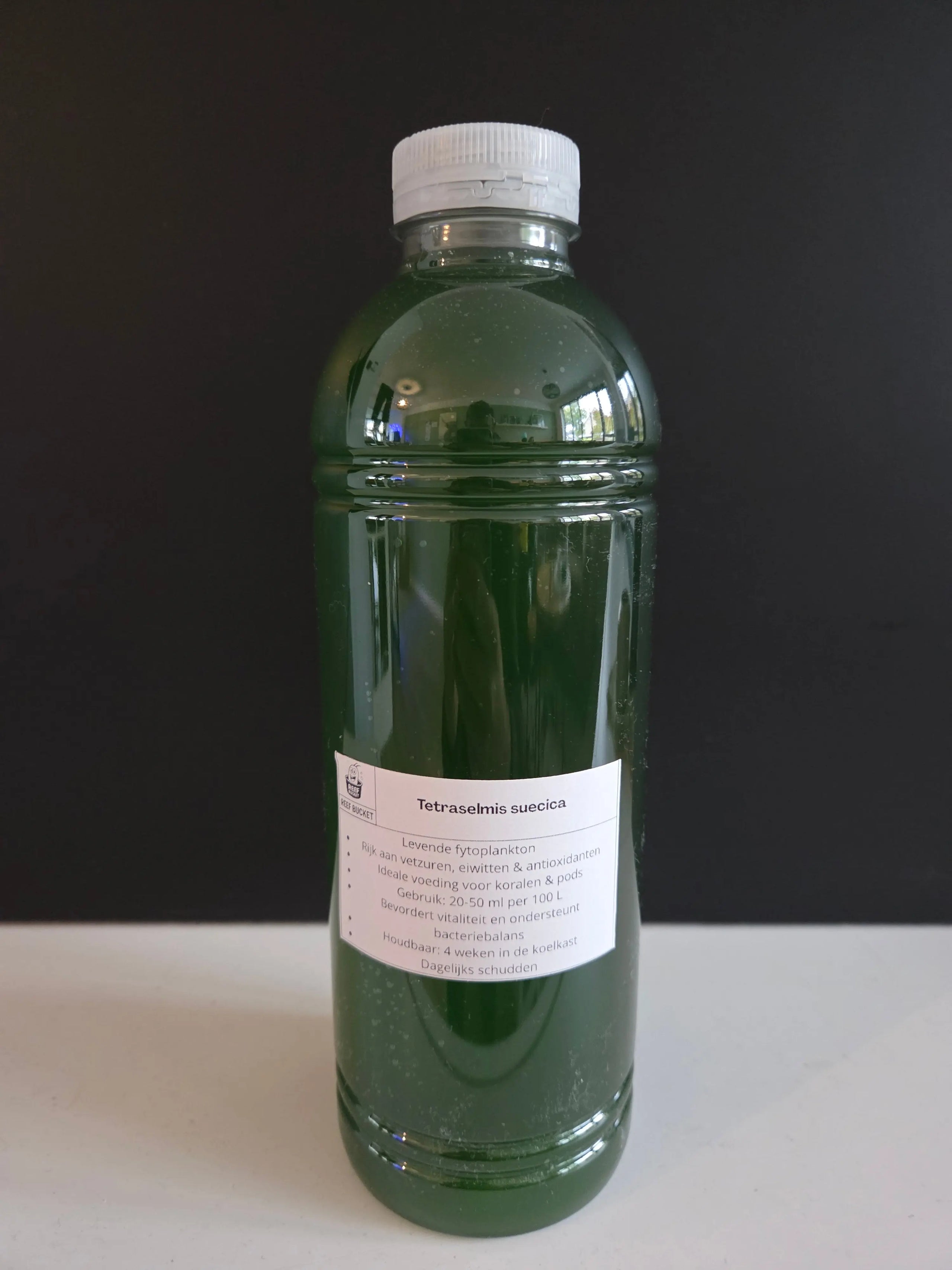 Phytoplankton kaufen – Frisches, lebendes Plankton für Meerwasseraquarien 