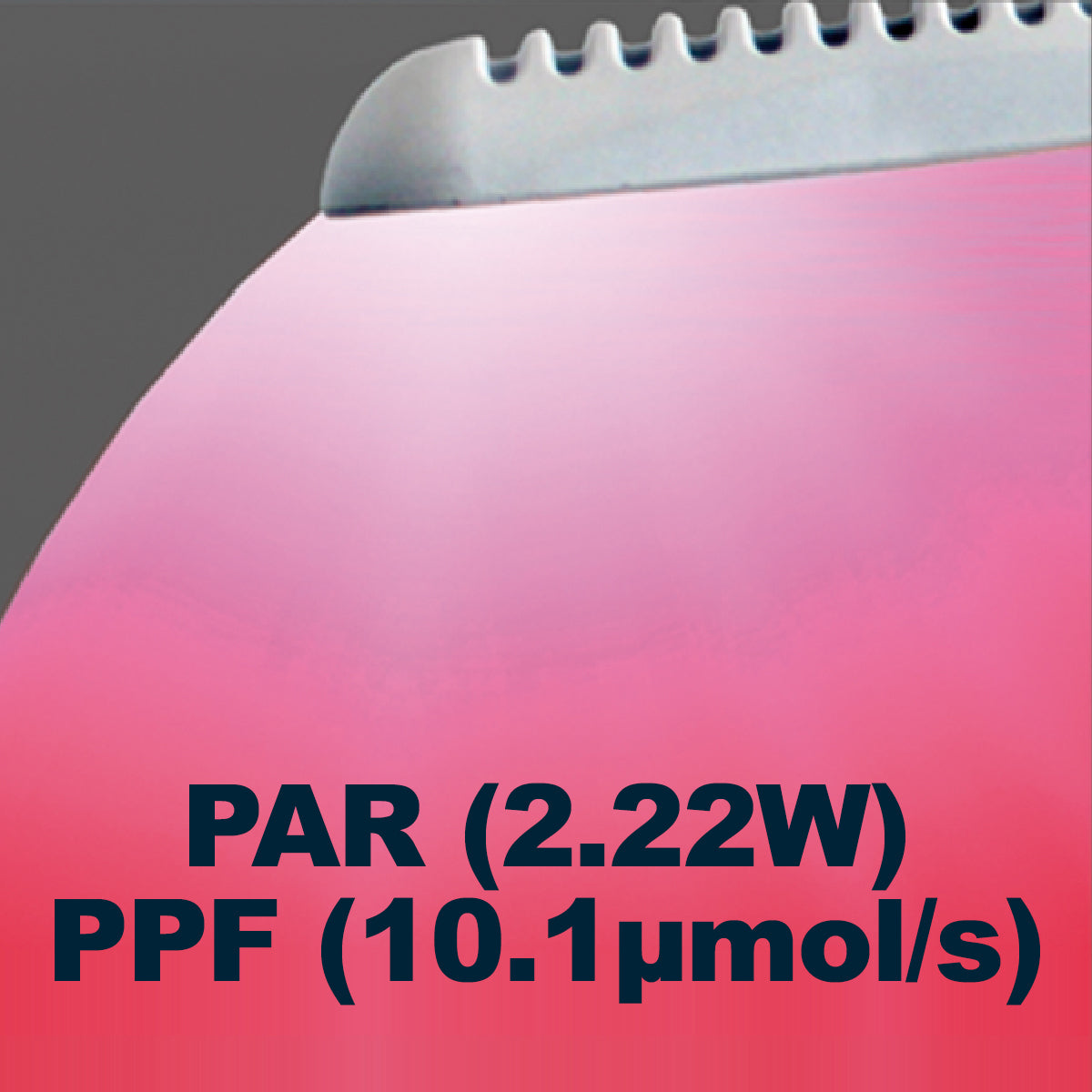 Tunze LED Eco Chic Refugium 8831 – Beste Chaeto & macroalgen groei ReefBucket