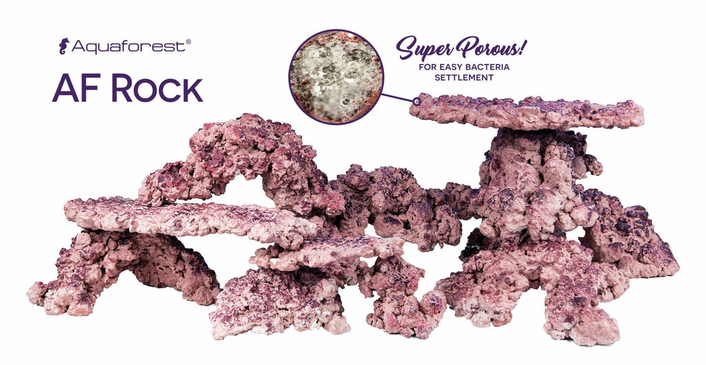 Aquaforest AF Rock Arch kopen | Rotsboog zeewateraquarium