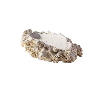 ARKA Tridacna Holder L ARKA