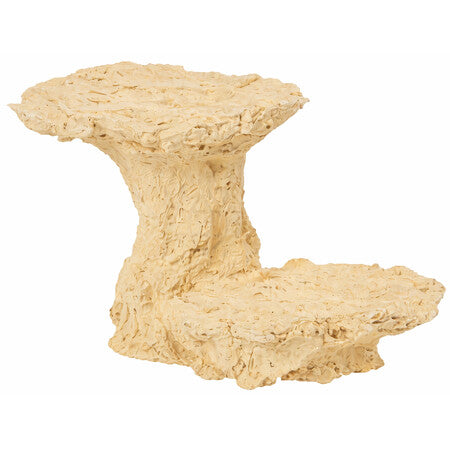 ARKA Rifpaddenstoelvoet 10 cm ARKA